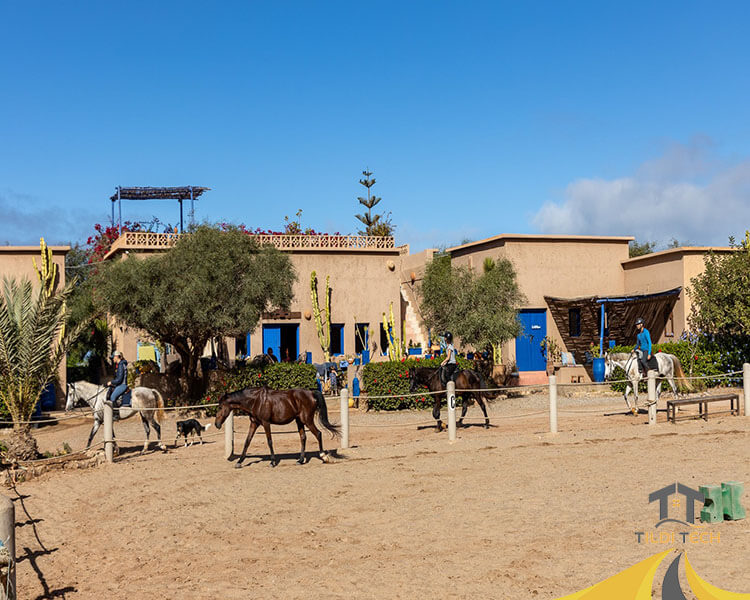 ranch-les-2-gazelles-image